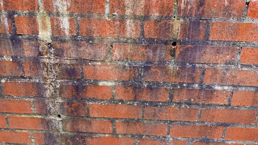 Efflorescence and pointing failure on a Devon holiday let exterior wall