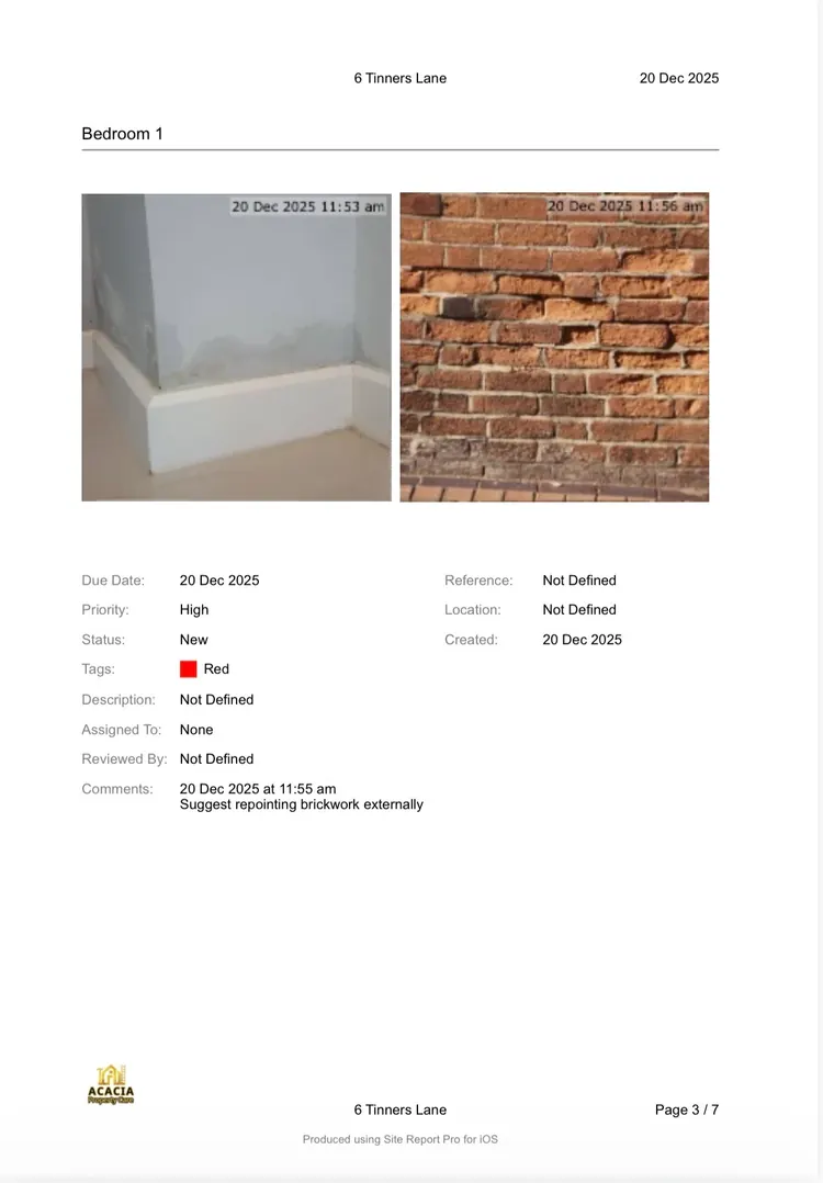 Example issue logged with priority and recommendation (illustrative)